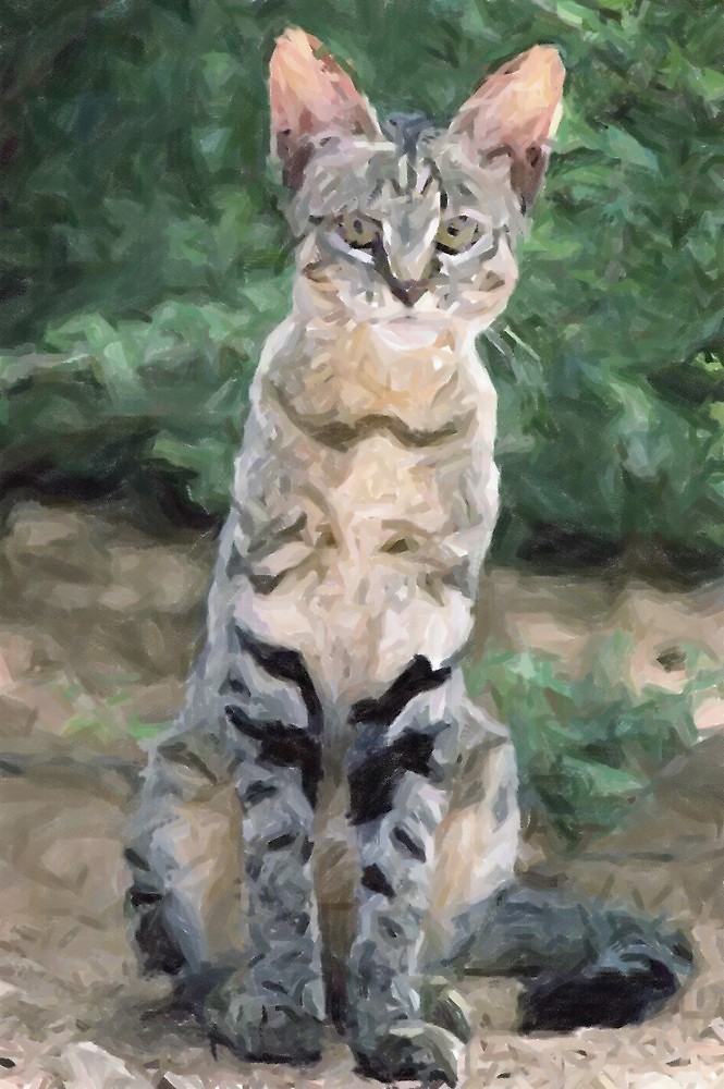 African Wildcat Print