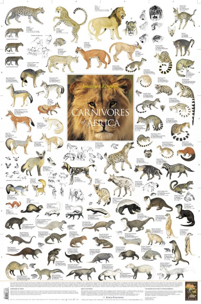 View Carnivores of Africa Poster by Jonathan Kingdon Carnivores of Africa Poster