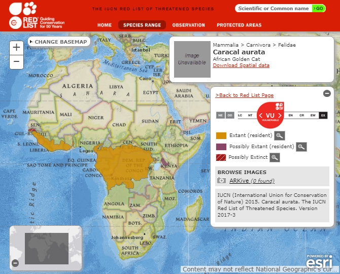 African Golden Cat (Caracal aurata) Range Map IUCN African Golden Cat Distribution Map