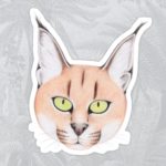 African Caracal Cat