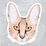 African Serval Cat