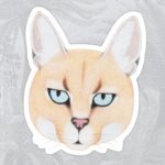 African Golden Cat