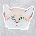 Sand Cat
