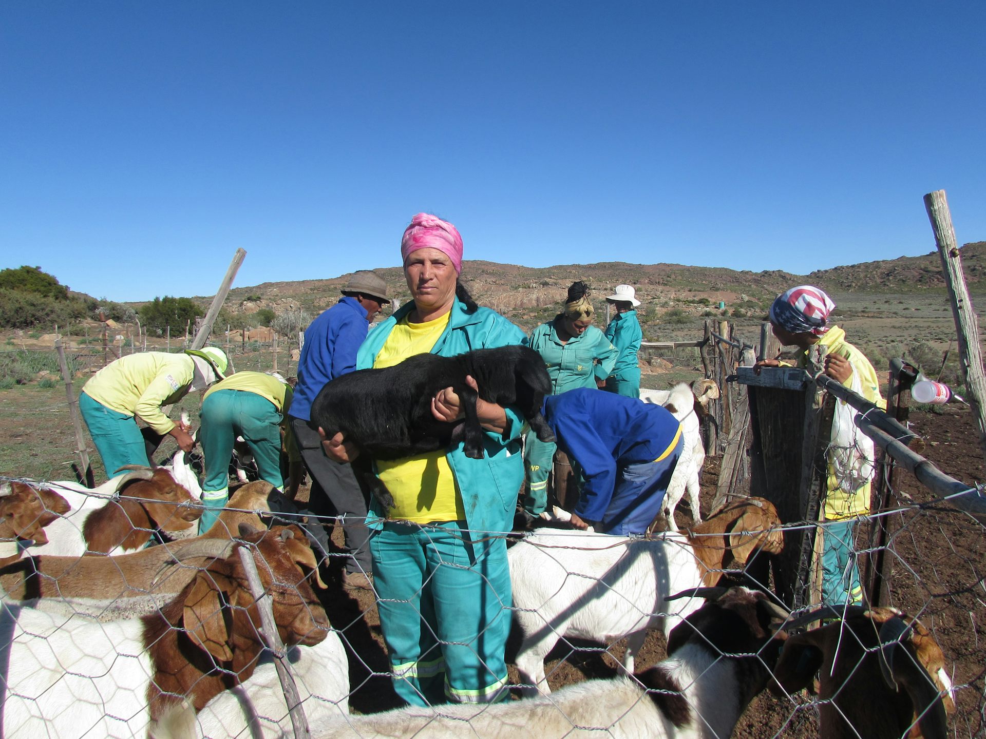 Herder Katrina Schwartz with her goats. Photo: Conservation International Shepherds help protect livestock from predation South Africa