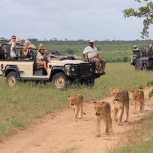Cape Town, Kruger & Vic Falls Kruger Game Drive, South Africa