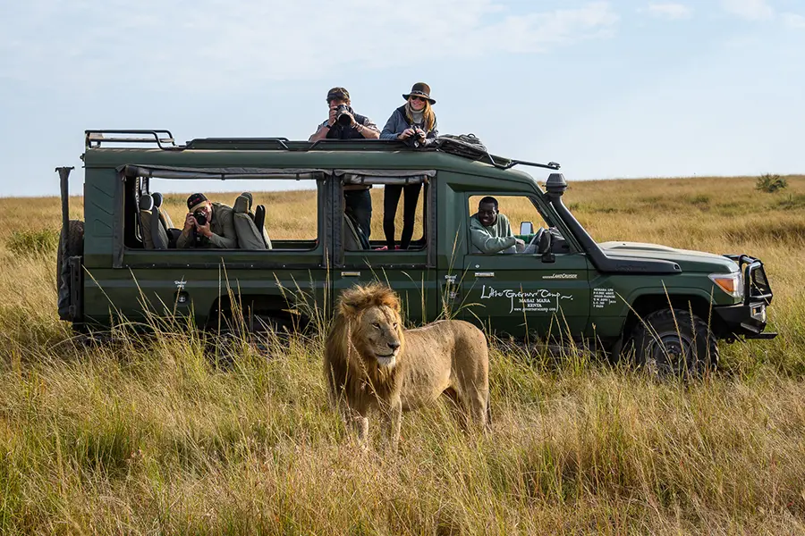 Image Copyright Go2Africa Southern Lion (Panthera leo melanochaita) Kenya